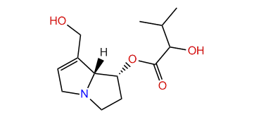 7-(2-Hydroxy-3-methylbutanoyl)-retronecine